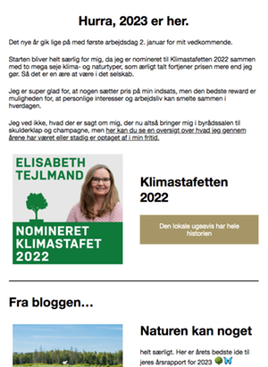 eksempel nyhedsmail